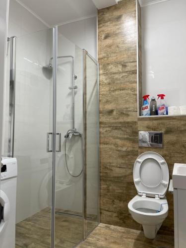 La salle de bains est pourvue de toilettes et d'une douche en verre. dans l'établissement Royal Residence Apartmani 2, à Pančevo