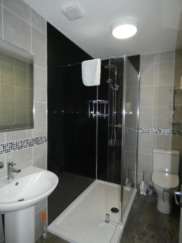 a bathroom with a shower and a sink and a toilet at Bryn Melyn Apartments in Barmouth