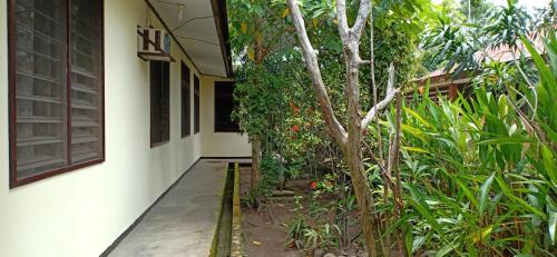 a hallway of a house with trees and plants at Homestay Galpera Papua in Jayapura