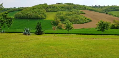 an open field with trees on a hill at Maison chaleureuse à Martisserre avec jardin privatif et cheminée in Martisserre