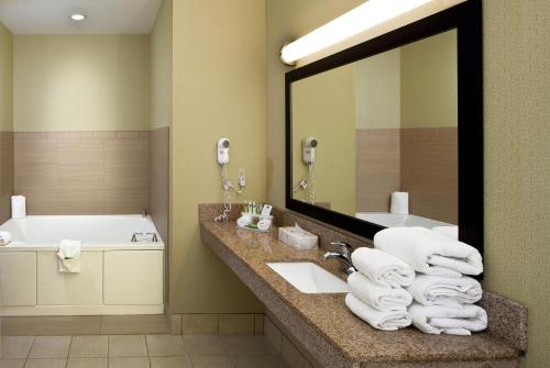 Ванная комната в Holiday Inn Express Hotel & Suites Saginaw by IHG