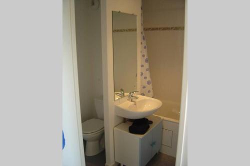 une salle de bain avec un lavabo et des toilettes dans l'établissement Terrasse sur le lac, à La Rochelle