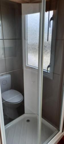 a bathroom with a shower with a toilet and a window at Church Farm Haven Holiday Park in Pagham