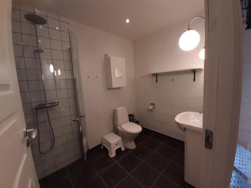 uma casa de banho com um WC, um lavatório e um chuveiro em LatterLy Rooms em Silkeborg