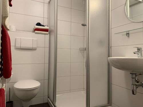 a bathroom with a shower and a toilet and a sink at Pension Jagerhof - Sommercard Inkl - 5 Min zum Hochzeiger in Jerzens