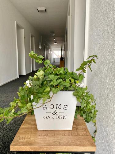 a potted plant sitting on a table in a hallway at Hotel zur Sonne GmbH in Bodelshausen