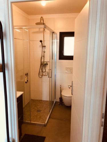 une salle de bain avec une douche en verre et des toilettes dans l'établissement Les Mégalithes, à Sète