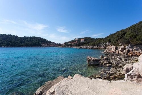 Blick auf einen Wasserkörper neben einer felsigen Küste in der Unterkunft Guest House Simunovic in Suđurađ