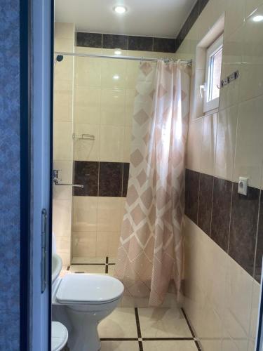 ソチにあるGuest House Orkhideyaのバスルーム(シャワー、トイレ、シンク付)