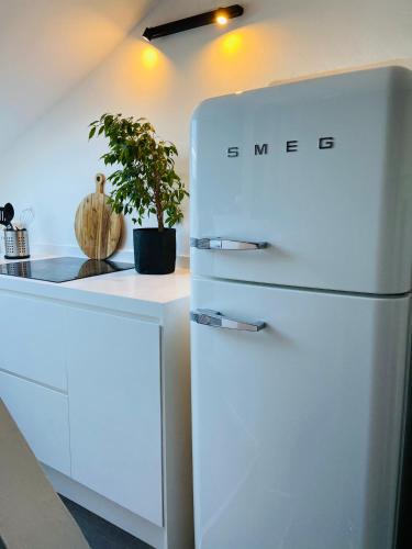 a white refrigerator in a kitchen with a plant at Appartement Casaluna - Casadibastia - Vue mer Citadelle in Bastia