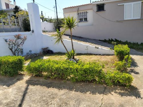 a palm tree in a yard next to a house at Giannis Stella apartment in Mourteri
