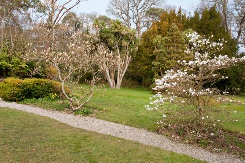 a path in a park with a flowering tree at Tros Yr Afon Holiday Cottages and Manor House in Beaumaris