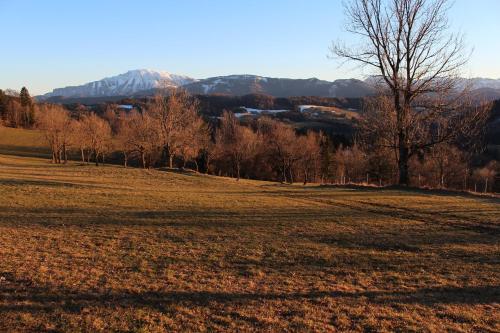 a field with trees and mountains in the background at Hirmhof in Reinsberg