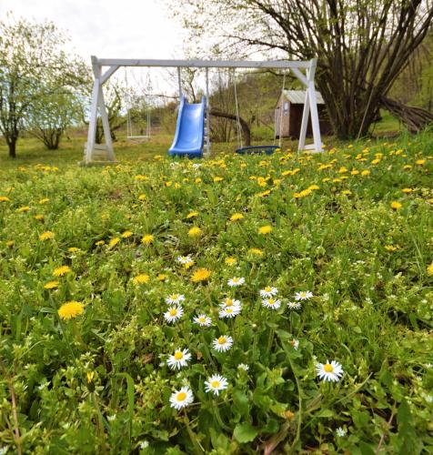 a field of flowers with a playground in the background at Honey hill apartment Fruska Gora in Čerević