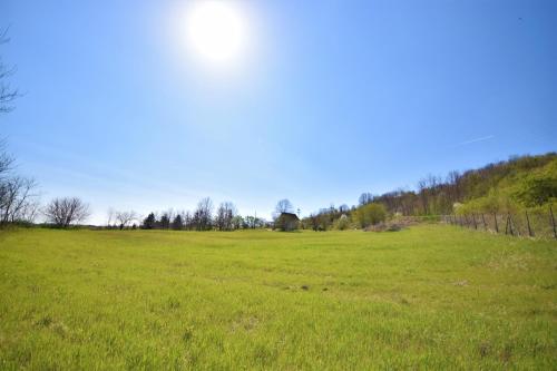a field of green grass with the sun in the sky at Honey hill apartment Fruska Gora in Čerević