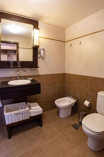 a bathroom with a toilet and a sink and a mirror at Hotel Poincenot in El Chalten