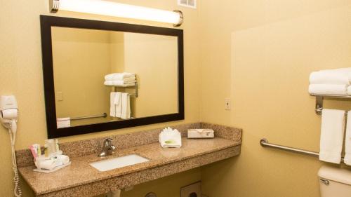 Фотография из галереи Holiday Inn Express Hotel & Suites Saginaw by IHG в городе Сагино