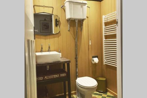a bathroom with a toilet and a sink at Melford Allotment Shed-Vintage Lodge Suffolk in Long Melford