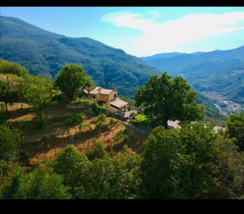 Φωτογραφία από το άλμπουμ του Elsa House σε Mezzanego