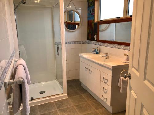a bathroom with a shower and a sink at The Snug in Twizel