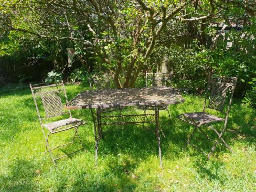 an old table and two chairs in the grass at UNIQUE 1920's Historic Retreat! Pet Friendly! in Springwood