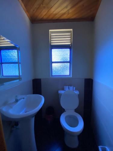a bathroom with a toilet and a sink at Hotel Las Palmeras Gachancipa in Gachancipá