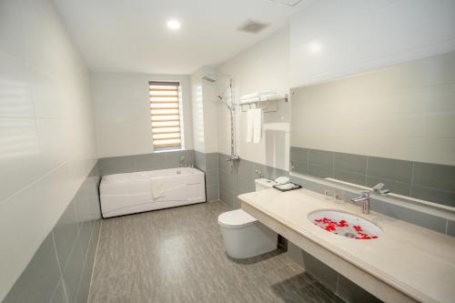 a bathroom with a sink and a toilet and a mirror at MOMALI Hotel Ninh Binh in Ninh Binh