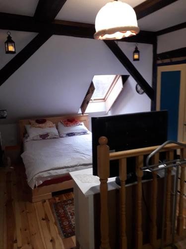 a bedroom with a bed in a attic at Residence Gölsch 161 in Sînpetru