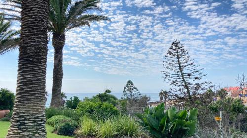 two palm trees in a garden with the ocean in the background at Brookes Hill Suites no 51 in Port Elizabeth