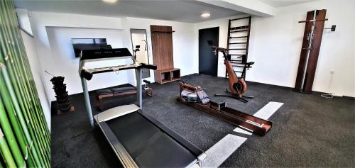 a room with a gym with a treadmill and a violin at Villa Marija in Sveti Filip i Jakov