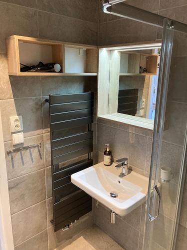 a bathroom with a sink and a shower at Apartmán U Kola na Brčálníku in Hojsova Stráž