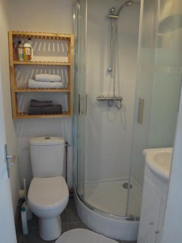 ein Bad mit einer Dusche, einem WC und einem Waschbecken in der Unterkunft StudioLille - Gambetta in Lille