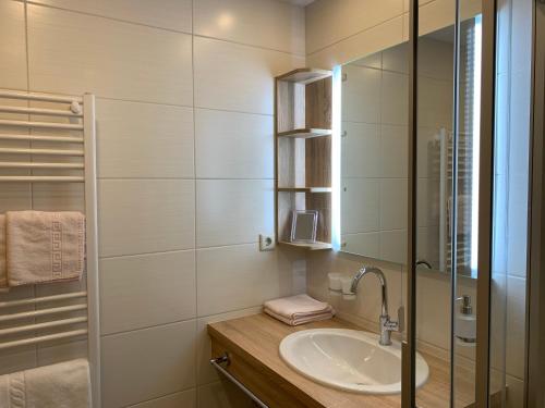 a bathroom with a sink and a glass shower at Haus Witting in Leutasch