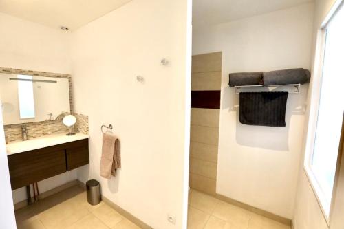 uma casa de banho com um lavatório e um espelho em Le Domaine Loft - Piscine - Jacuzzi - Parc em Tullins