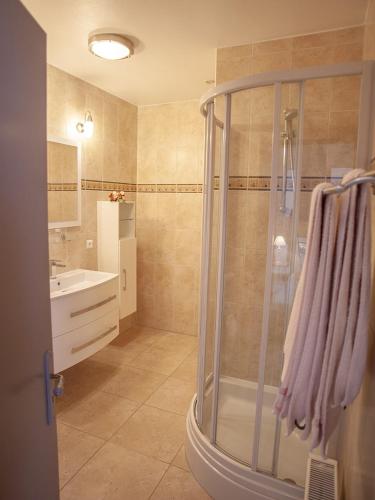 a bathroom with a shower and a sink at Chambres & Tables d'hôtes Le Pech Grand in Saint-Sozy
