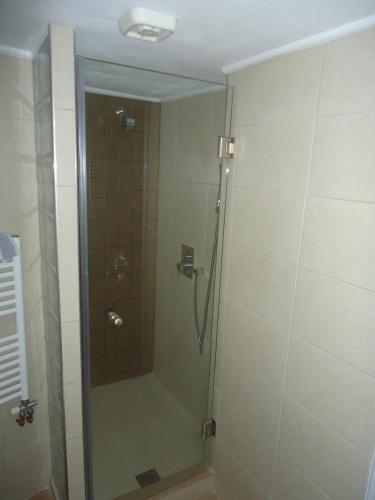 a shower with a glass door in a bathroom at Meltemi in Vourkarion