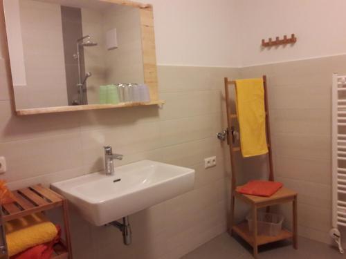 a bathroom with a sink and a mirror at Ötscherblick Fam Winter in Frankenfels