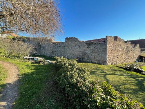 a large stone castle with a grass field and a building at Le Refuge du Rempart in Dambach-la-Ville