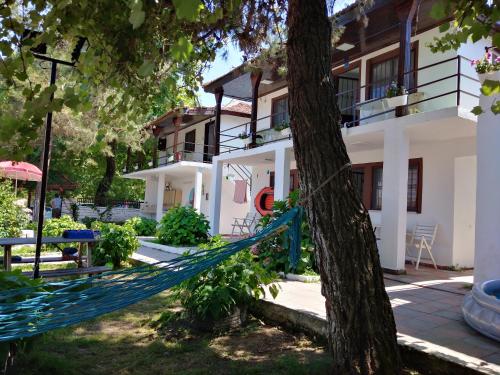 阿克恰科賈的住宿－Deniz Yıldızı Pansiyon，挂在建筑物前树上的吊床
