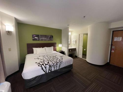 a hotel room with a bed and a desk at Sleep Inn in Antigo