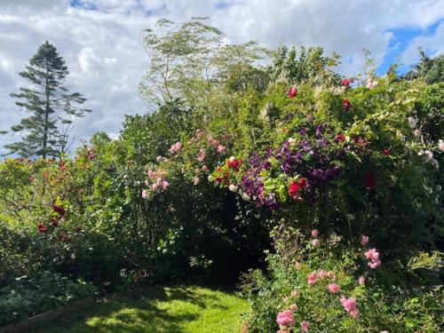 a garden of flowers and plants on a hill at Mysigt gästhus med cykelavstånd till havet! in Skivarp