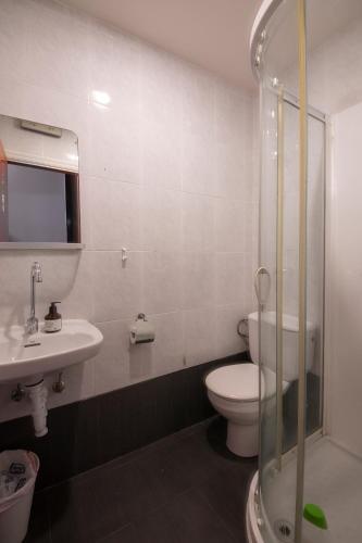 a bathroom with a toilet and a sink and a shower at Kontxa Guesthouse in Donostia-San Sebastián