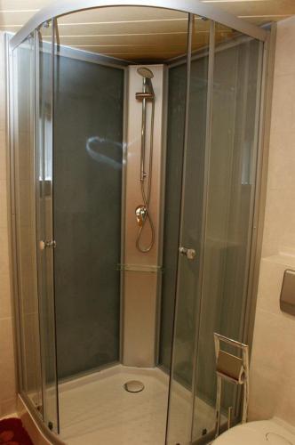 a shower with a glass door in a bathroom at Ferienhaus Schelle in Kurort Altenberg