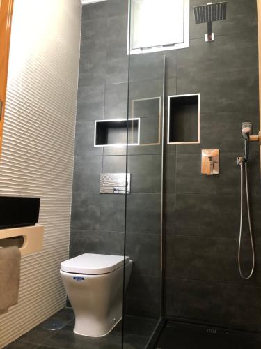 Un baño con inodoro y ducha de cristal. en Loft Almagro, en Almagro