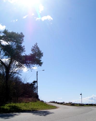 a road with a tree on the side of the road at Hotel 1622 - Spa, Hotell & Konferens in Helsingborg