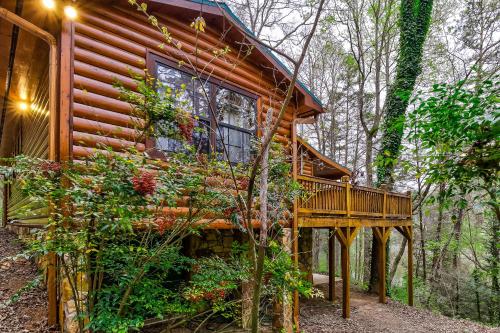 Misty Lake Lodge – Photos 2