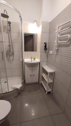 a bathroom with a sink and a shower and a toilet at WILLA DobraNocka in Szklarska Poręba