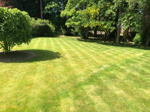 a large grass field with a tree in the middle at Rossal House Apartments in Inverness