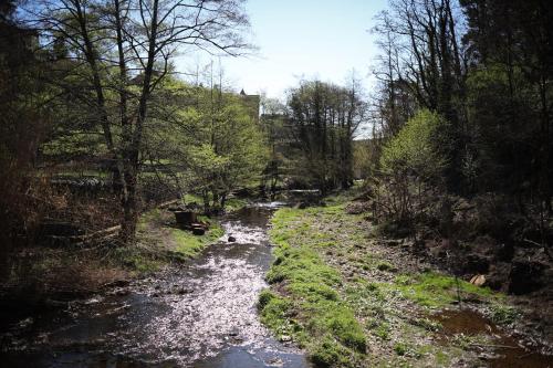 a stream in the middle of a river with trees at Le Mas Fraissinet in Saint-Jean-de-Valériscle