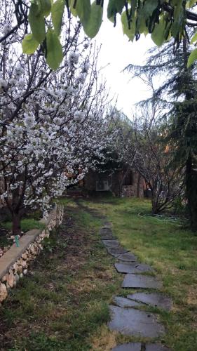 a stone path with flowering trees in a yard at Zimer Al-Bayt in Mas'ade